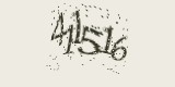 CAPTCHA: введите символы, которые вы видите на картинке