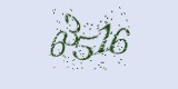 CAPTCHA: введите символы, которые вы видите на картинке